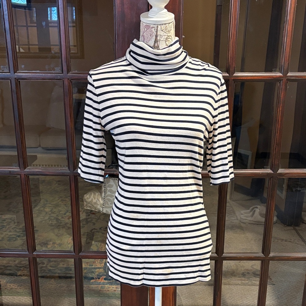 Striped Turtleneck Top